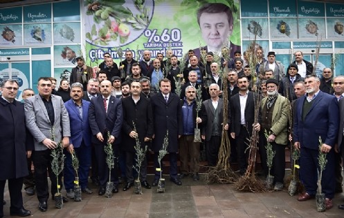 Büyükşehir