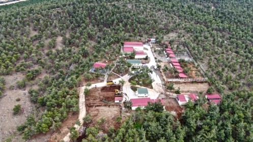 Sokak Hayvanları Rehabilitasyon Merkezi Yenileniyor
