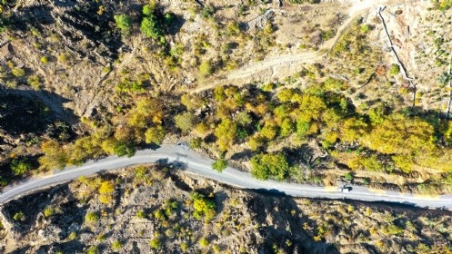 Doğa Harikası Yavşan