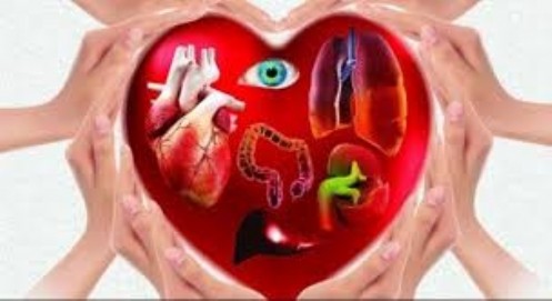 
Koronavirüs Süreci Organ Bağışlarını Olumsuz Etkiledi!
