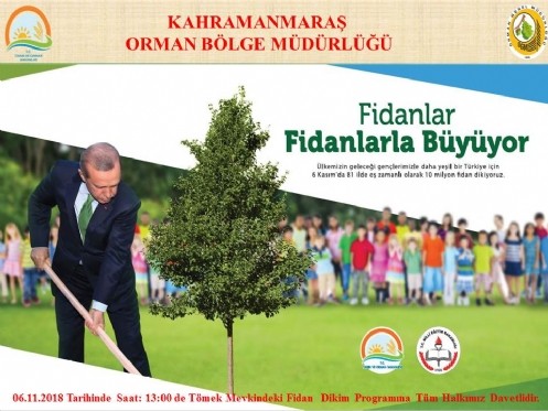Fidanlar Fidanlarla Büyüyor Ağaçlandırma Projesi