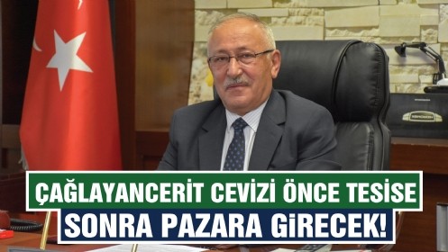 Çağlayancerit Cevizi Önce Tesise Sonra Pazara Girecek! 