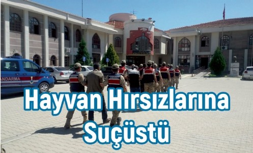 Hayvan Hırsızlarına Suçüstü